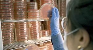 Nova plataforma de dados mostra crescimento do setor de bioinsumos
