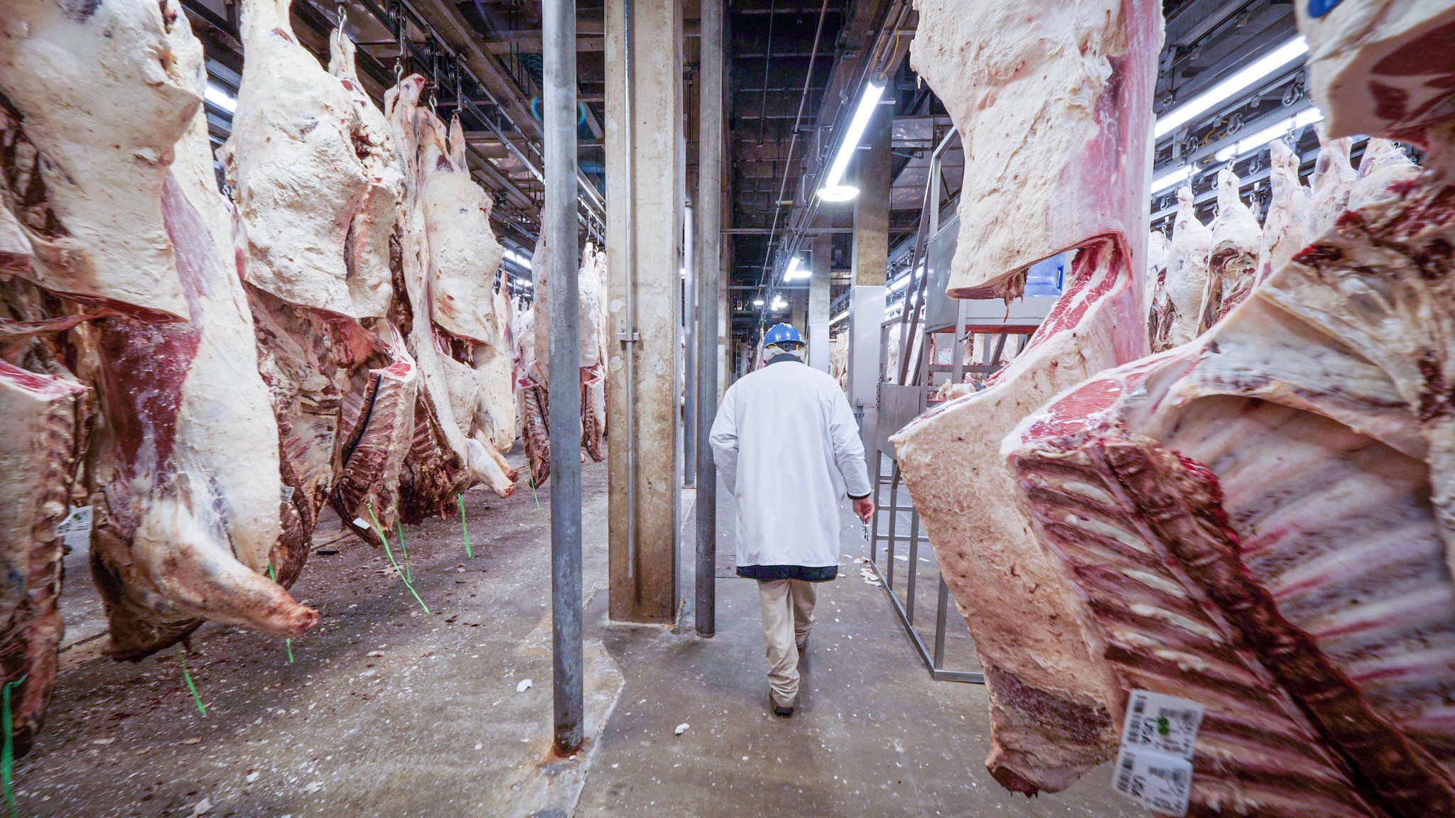 Atuação de frigoríficos nos EUA entra na mira do Cade