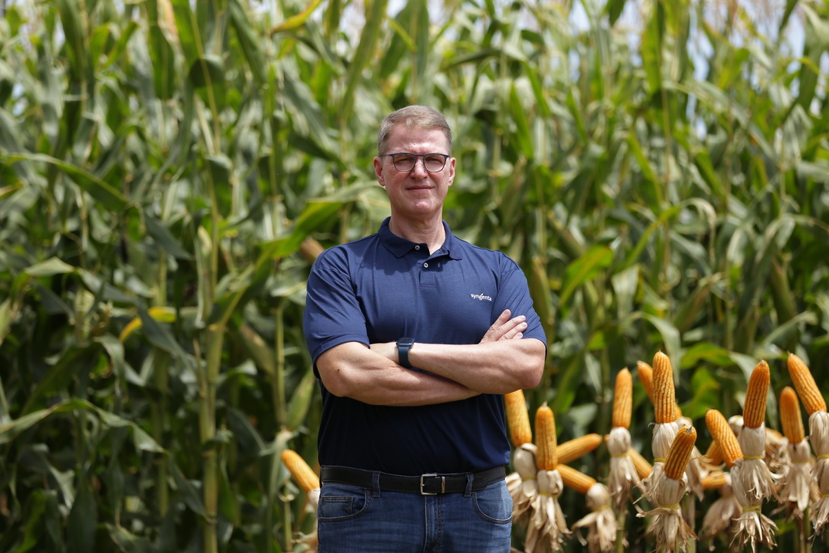 Syngenta Seeds muda modelo comercial no Brasil