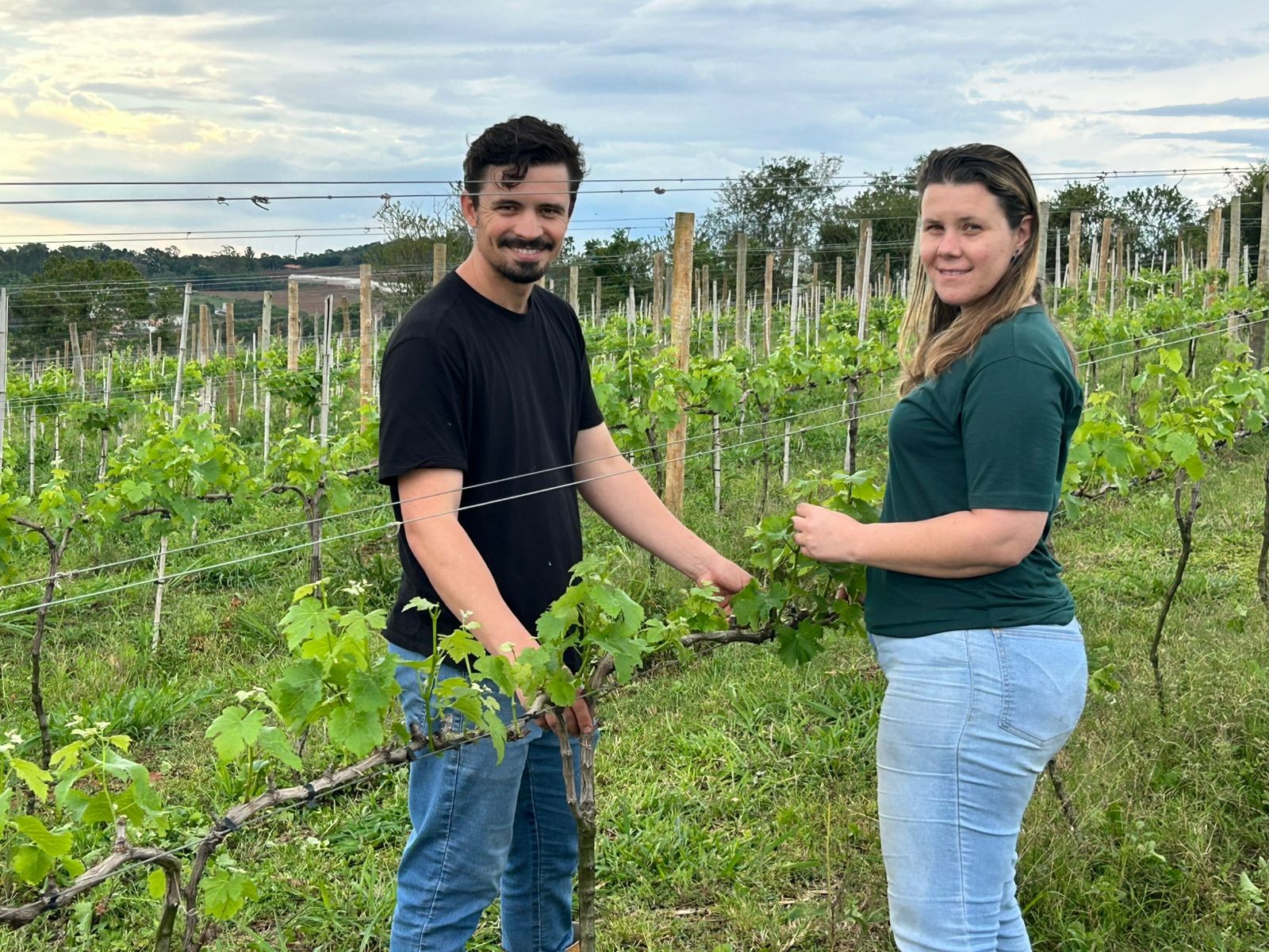 Do enoturismo ao 'colha e pague': produtores de frutas diversificam e atraem público no interior de SP