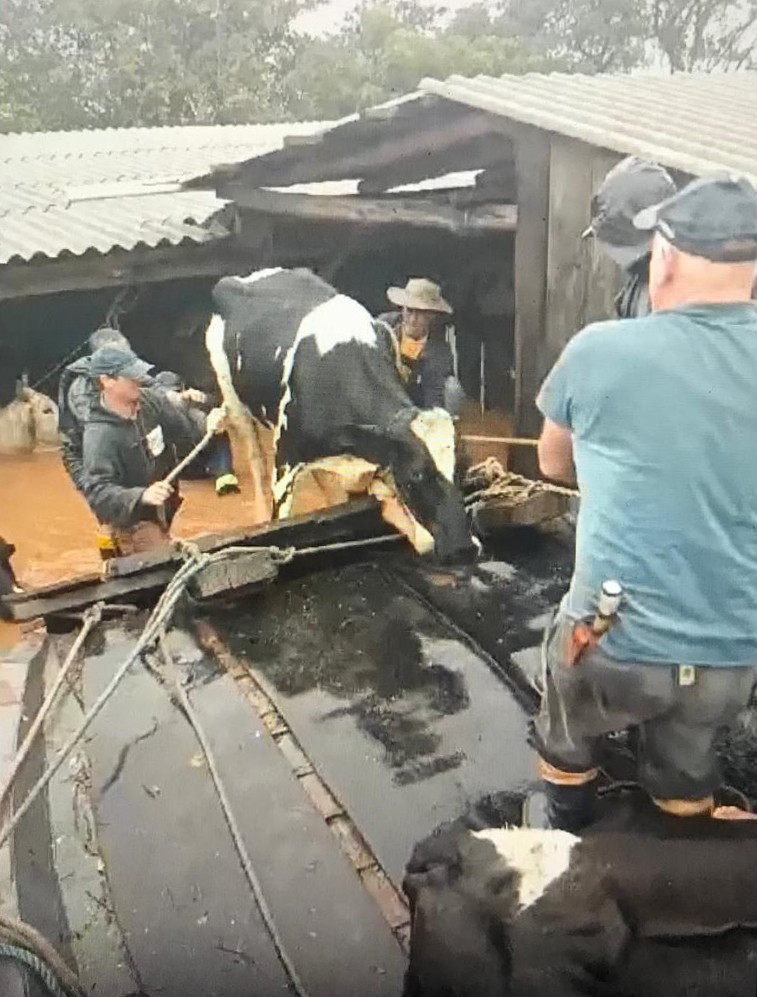 Setor privado do agronegócio gaúcho pede medidas "extraordinárias” ao governo federal