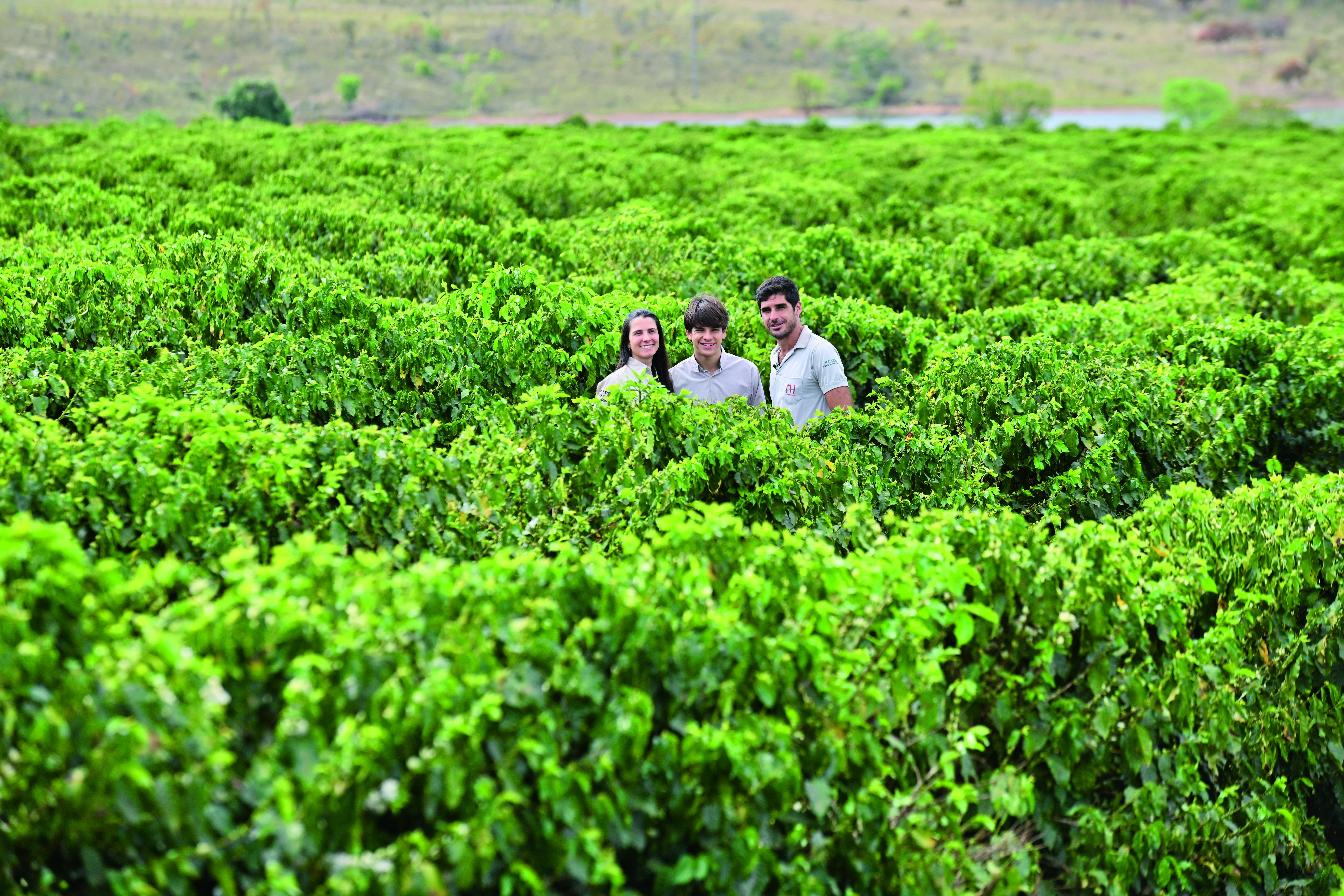 Organismo vivo: fazenda de café usa sistema que integra solo, plantas, animais e pessoas