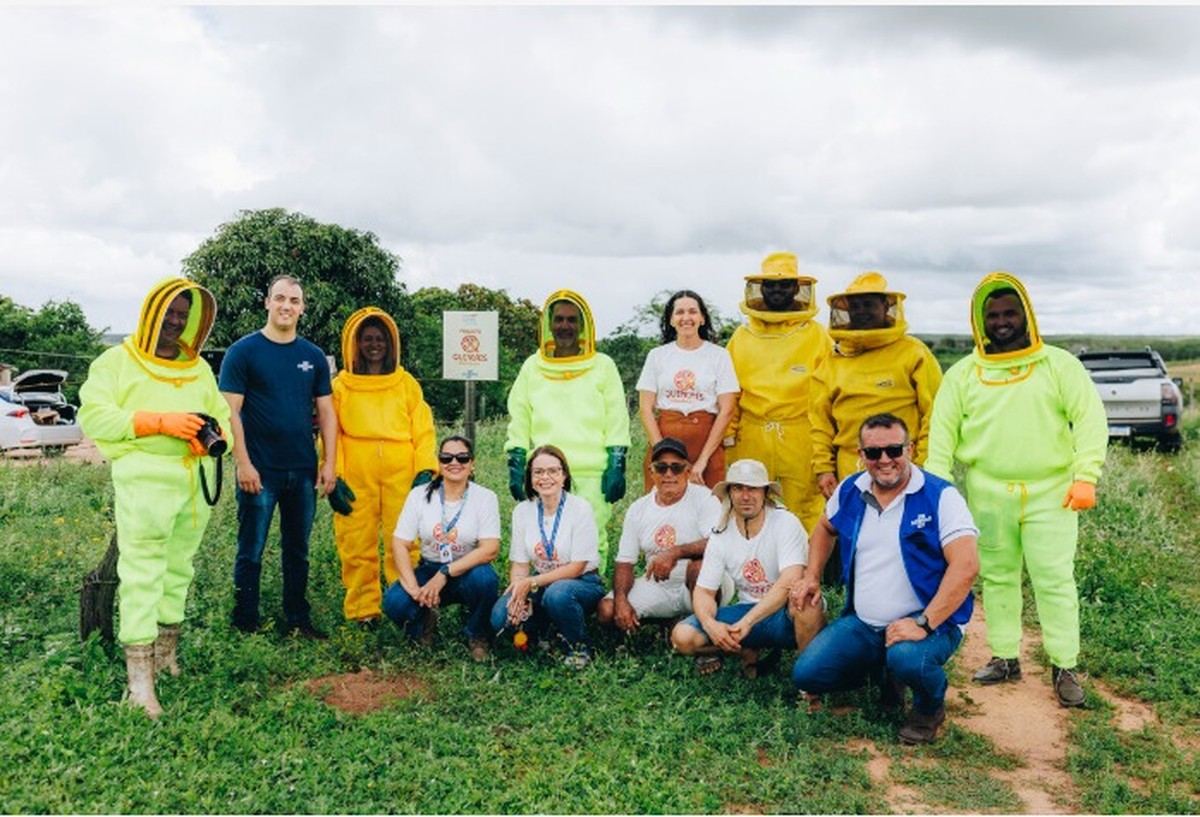 Projeto leva água e impulsiona produção de mel em comunidades rurais do RN