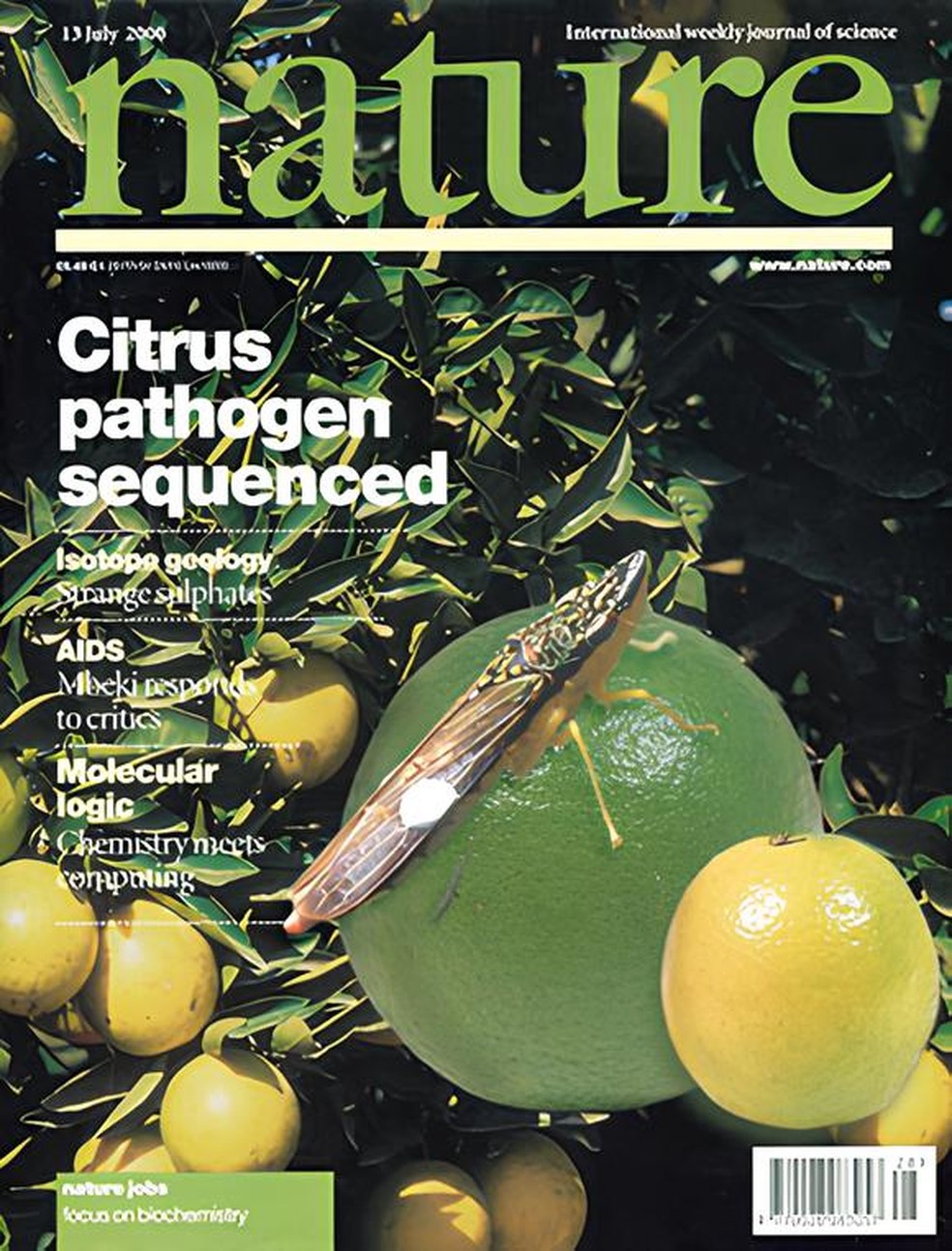 Estudo foi destacado na capa da famosa revista científica americana Nature — Foto: Reprodução